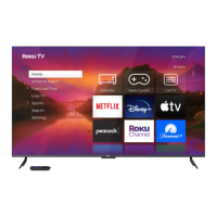 Preview: Roku Plus Series