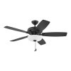 Fan Logo
