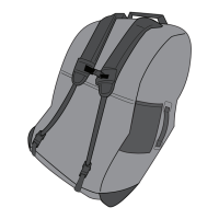 Preview: Evenflo Shyft DualRide