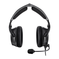 Preview: Bose A30