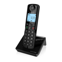 Preview: Alcatel S250