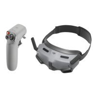 Preview: dji GOGGLES 2 MOTION COMBO