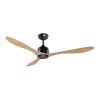 Fan Logo