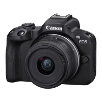 Preview: Canon EOS R50