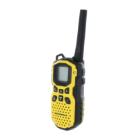 Preview: Motorola MS350R