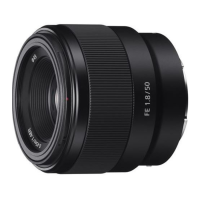 Preview: Sony FE 50mm F1.8 (SEL50F18F)