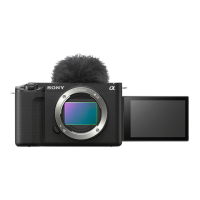 Preview: Sony ZV-E1