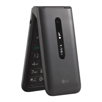 Preview: LG Classic Flip L125DL