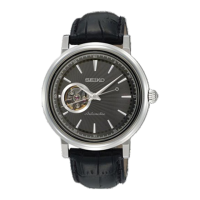 Preview: Seiko Presage SRPB41J