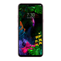 Preview: LG LM-G820TM