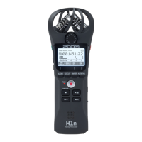 Preview: Zoom H1n-VP