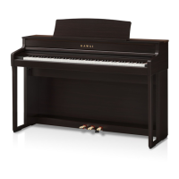 Preview: Kawai CA501