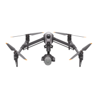 Preview: dji INSPIRE 3