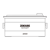 Preview: Zendure AB1000