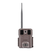 Preview: Covert Scouting Cameras WC30-A