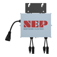 Preview: NEP BDM-800
