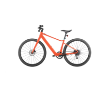 Preview: Velotric Thunder 1