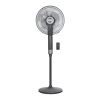 Fan Logo