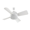 Fan Logo