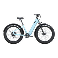 Preview: Velotric Nomad Series