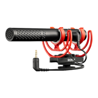 Preview: RODE Microphones VideoMic NTG