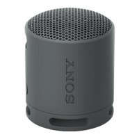 Preview: Sony SRS-XB100