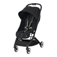 Preview: CYBEX ORFEO