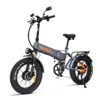 Preview: VAKOLE CO20