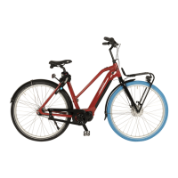 Preview: Swapfiets POWER 7