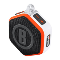 Preview: Bushnell GOLF WINGMAN MINI