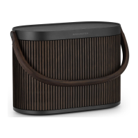 Preview: Bang & Olufsen Beosound A5