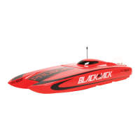 Preview: Pro Boat Blackjack 24