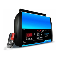 Preview: Schumacher Electric SC1304