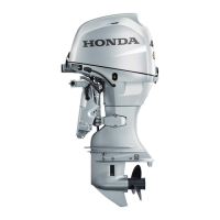 Preview: HONDA marine BF50D