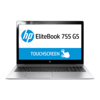 Preview: HP EliteBook 755 G5