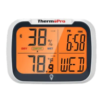 Preview: ThermoPro TP393
