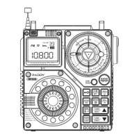 Preview: Raddy RF320