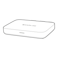 Preview: EcoFlow PowerStream
