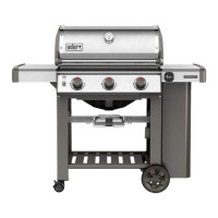 Preview: Weber Genesis II S-310