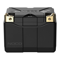 Preview: NOCO Genius NLP5