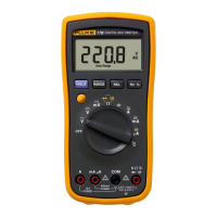 Preview: Fluke 17B