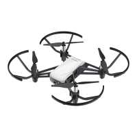 Preview: dji Tello