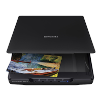 Preview: Epson Perfection V19 II