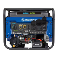 Preview: Westinghouse WGen5300DF