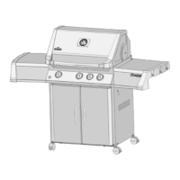 Preview: Napoleon Prestige 450