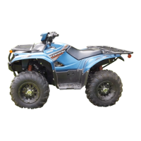 Preview: Yamaha KODIAK 2019