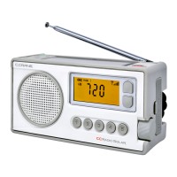 Preview: C. Crane CC RADIO SOLAR