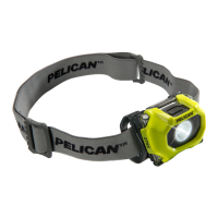 Preview: Pelican 2755