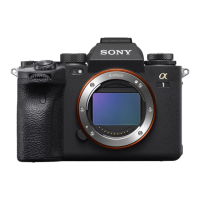 Preview: Sony ILCE-1