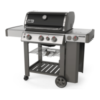 Preview: Weber GENESIS II E-330